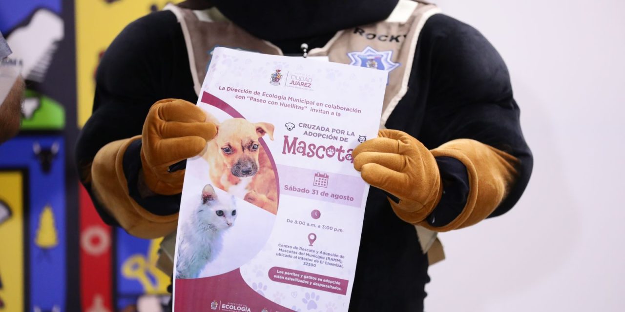Realizará Ecología Cruzada por la Adopción de Mascotas