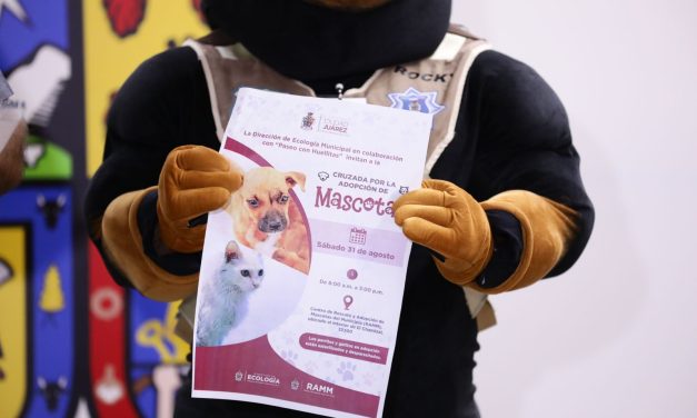 Realizará Ecología Cruzada por la Adopción de Mascotas