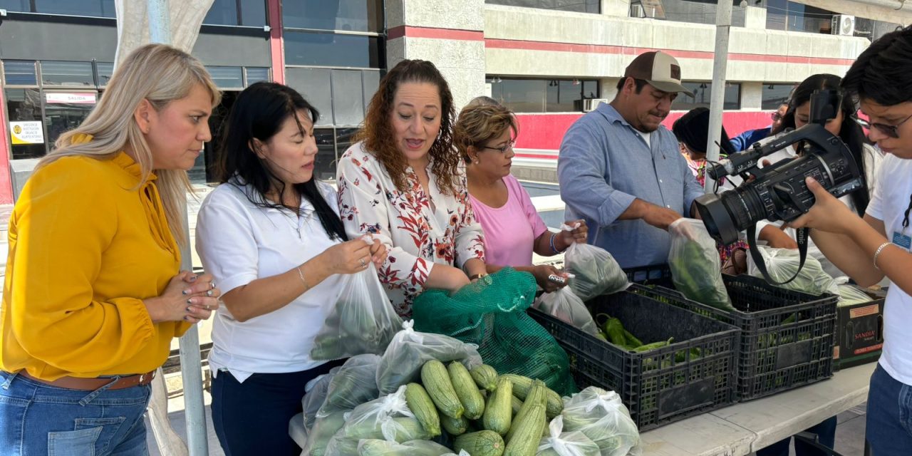 Invitan a venta de productos de Samalayuca