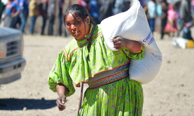 Entregan apoyos en la Sierra Tarahumara a más de 77 mil familias