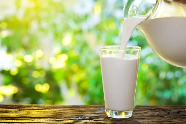 LOS 10 ALIMENTOS MÁS ADULTERADOS
