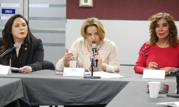 Concluimos con un buen trabajo en la Comisión de Igualdad: Dip. Ivón Salazar