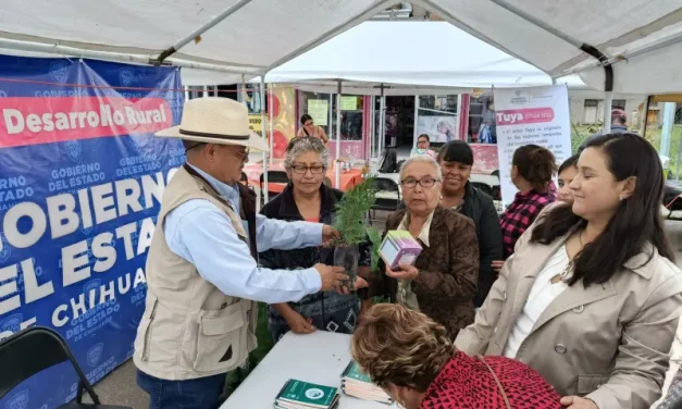 Participa Secretaría de Desarrollo Rural en tradicional Feria del Hongo en San Juanito