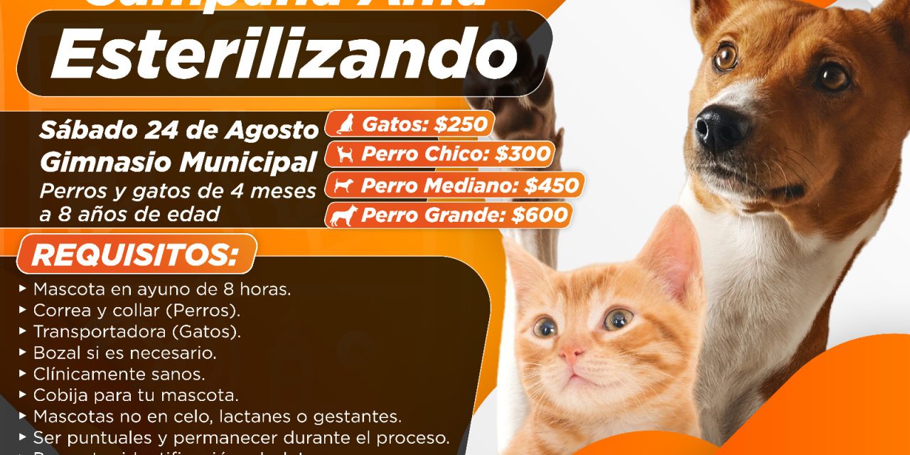  Abierta la campaña «Ama Esterilizando»