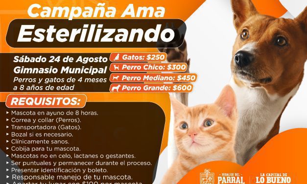  Abierta la campaña «Ama Esterilizando»