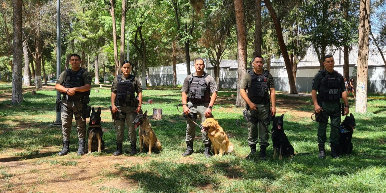 Realizan binomios caninos K-9 intervenciones relevantes