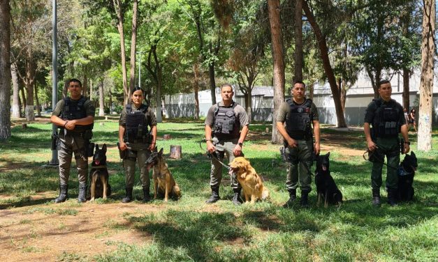 Realizan binomios caninos K-9 intervenciones relevantes