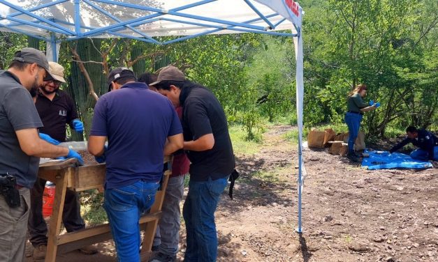 Continúan acciones de rastreo en Tubares, Urique y localizan fragmentos óseos