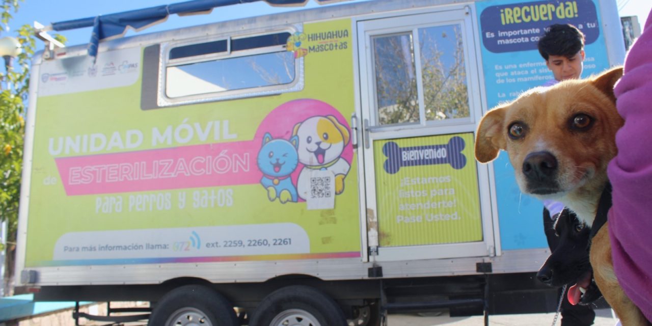 Dan a conocer calendario de esterilización de mascotas en septiembre  