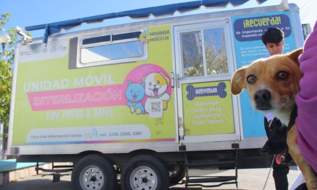 Dan a conocer calendario de esterilización de mascotas en septiembre  