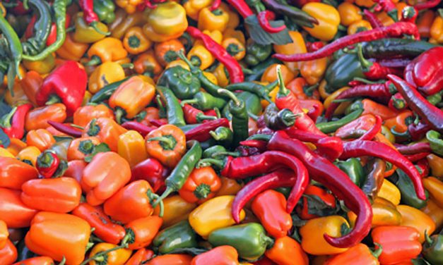 Las 64 variedades de chile en México