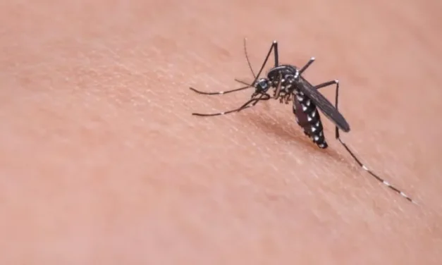DETECTAN NUEVO VIRUS EN LATINOAMÉRICA