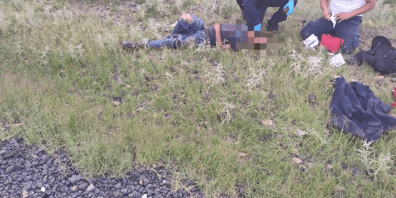 Cae migrante de un tren