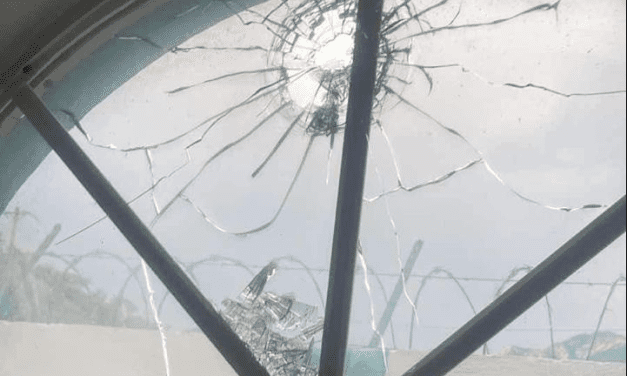 Denuncian matanzas del CO en comunidades de la Sierra