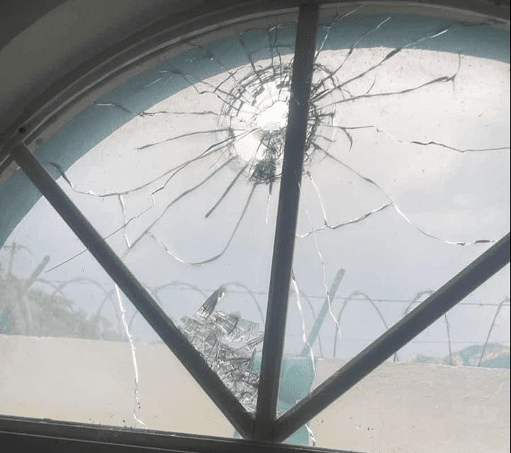 Denuncian matanzas del CO en comunidades de la Sierra
