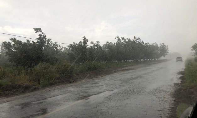 Mantiene Protección Civil alerta ante pronóstico de lluvias en la entidad