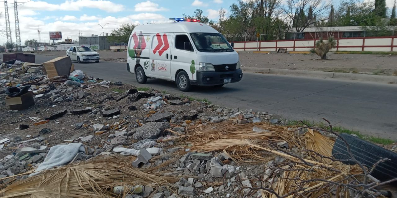 Investiga Ecología denuncia ciudadana por cadáveres de mascotas