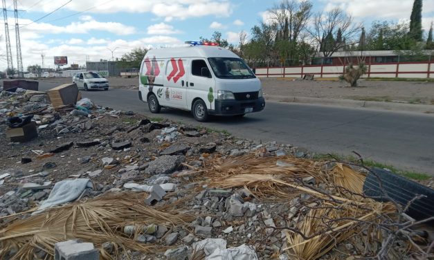 Investiga Ecología denuncia ciudadana por cadáveres de mascotas