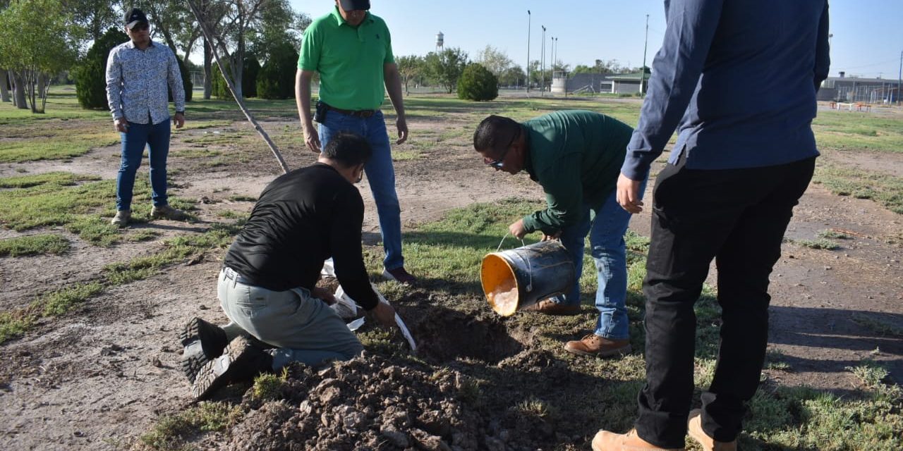 Actual Gobierno Municipal le dio la importancia que merece El Chamizal