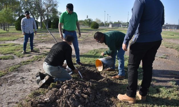 Actual Gobierno Municipal le dio la importancia que merece El Chamizal