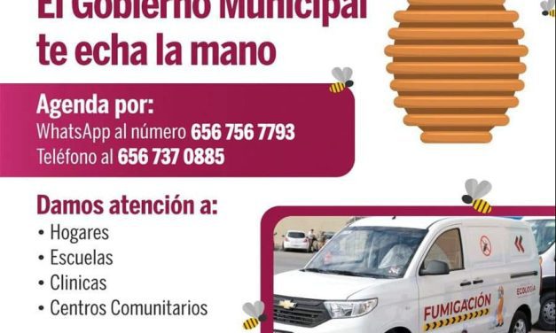 Invita Ecología a solicitar servicio gratuito de fumigación