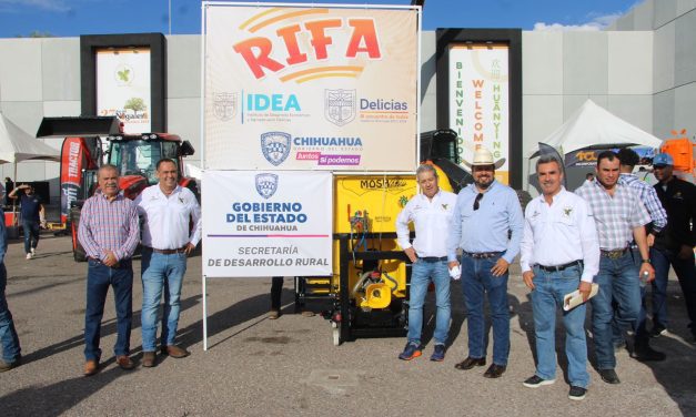 Chihuahua líder en ranking de producción de nuez a nivel nacional