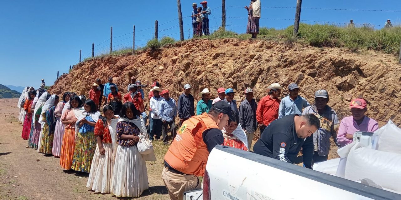 Reciben apoyos alimentarios 519 familias de Batopilas