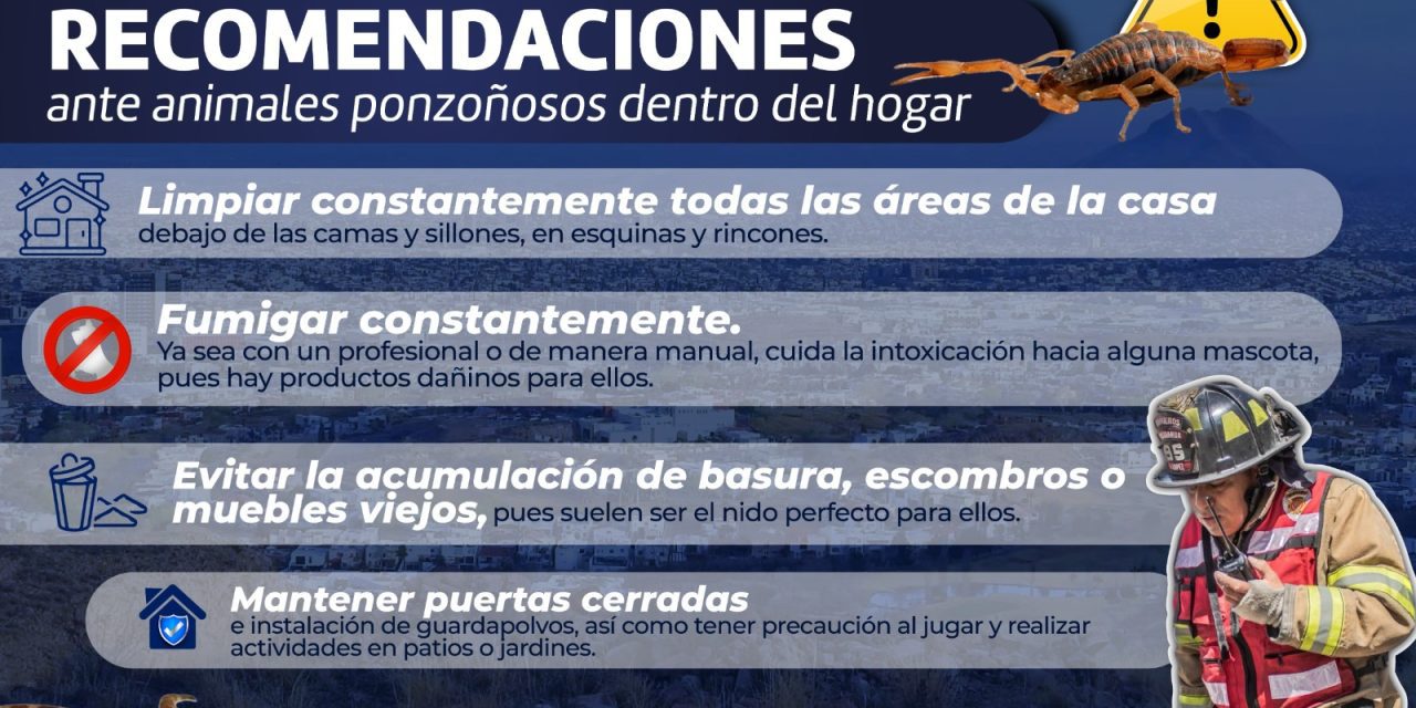 Piden bomberos tener cuidado con animales ponzoñosos dentro del hogar