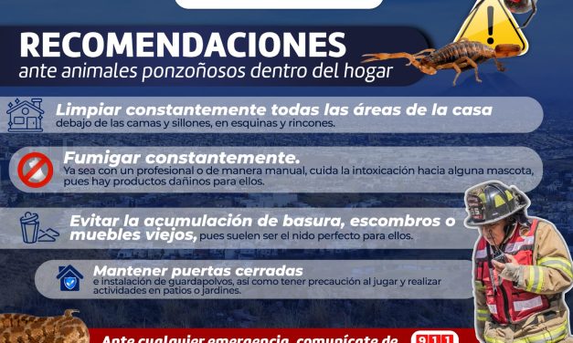 Piden bomberos tener cuidado con animales ponzoñosos dentro del hogar