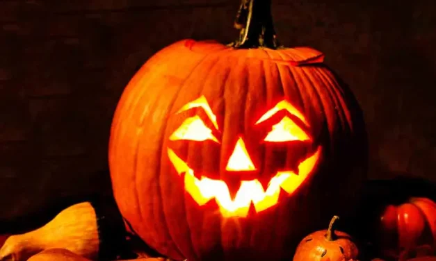 El espeluznante desperdicio alimentario de la calabaza, el verdadero terror de Halloween