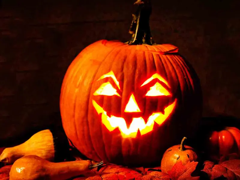 El espeluznante desperdicio alimentario de la calabaza, el verdadero terror de Halloween