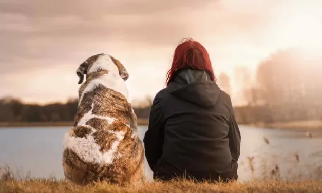 Científicos descubren que los perritos están entrando en una nueva fase de la evolución