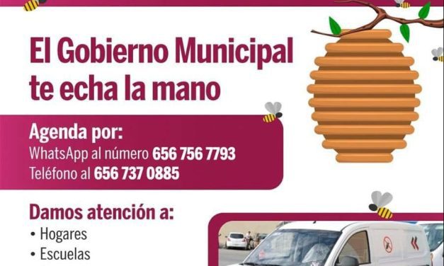 ¿Encontraste un panal de abejas o quieres fumigar tu hogar?