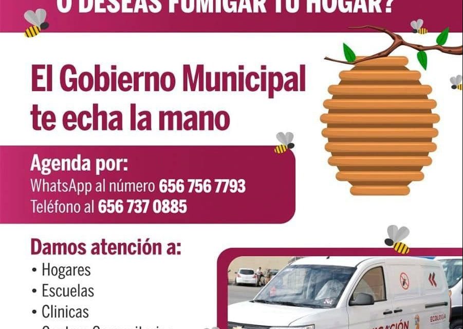 ¿Encontraste un panal de abejas o quieres fumigar tu hogar?