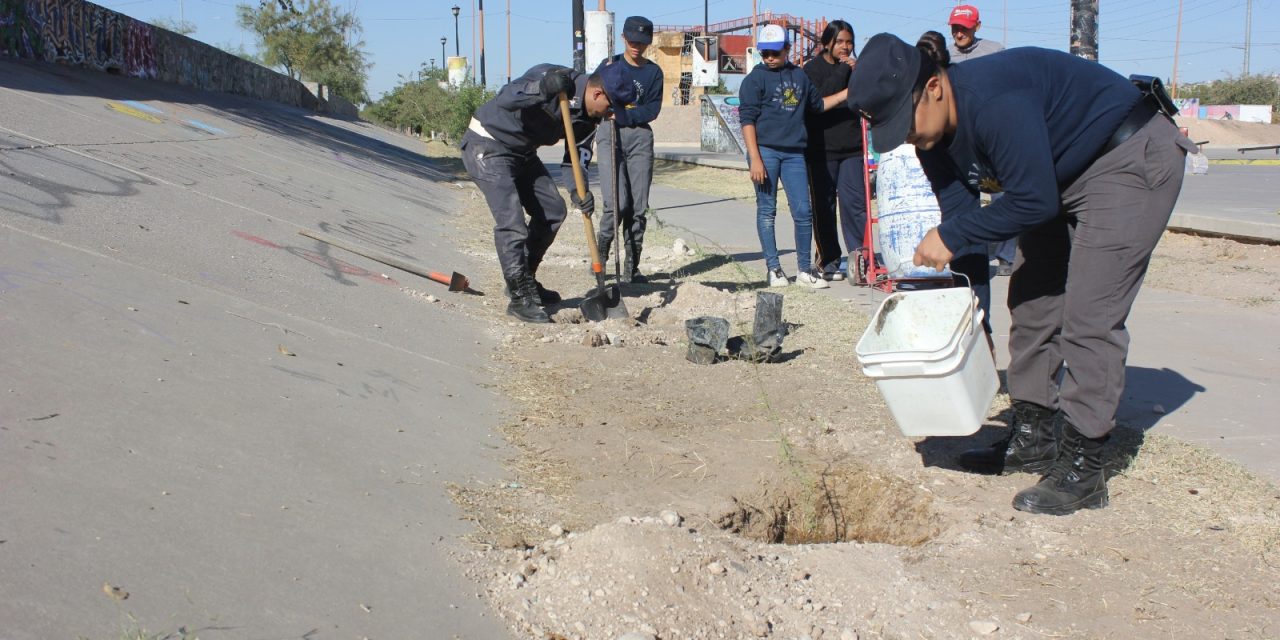 Jóvenes juarenses reforestan el Parque Extremo