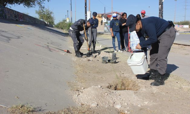 Jóvenes juarenses reforestan el Parque Extremo