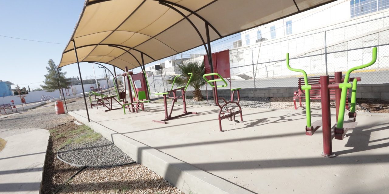 Trabaja Obras Públicas en la rehabilitación de parque Granjas de Chapultepec