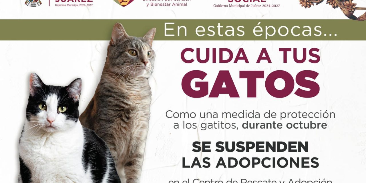 Adopciones de mascotas se reanudarán a partir del viernes