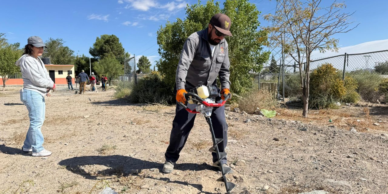 Reforestan en el ejido Samalayuca