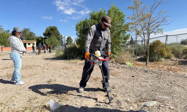 Reforestan en el ejido Samalayuca