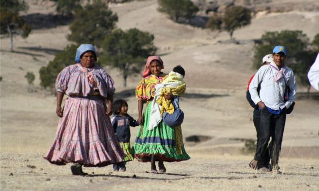 Credencial estatal de transporte única para pueblos indígenas: los de abajo organizados