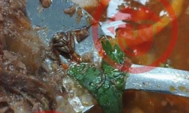 Verifican Jabil tras denuncias por comida con cucarachas
