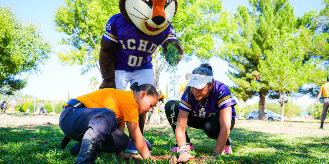 Reforestación de la Deportiva Sur beneficiará a 12 mil chihuahuenses