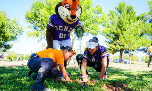 Reforestación de la Deportiva Sur beneficiará a 12 mil chihuahuenses