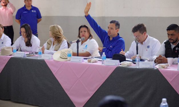 Avala Cabildo licitación para arrendar 155 patrullas para la DSPM