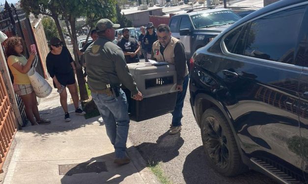Atiende Guardianes Ecológicos denuncia de maltrato animal en la colonia Arboledas