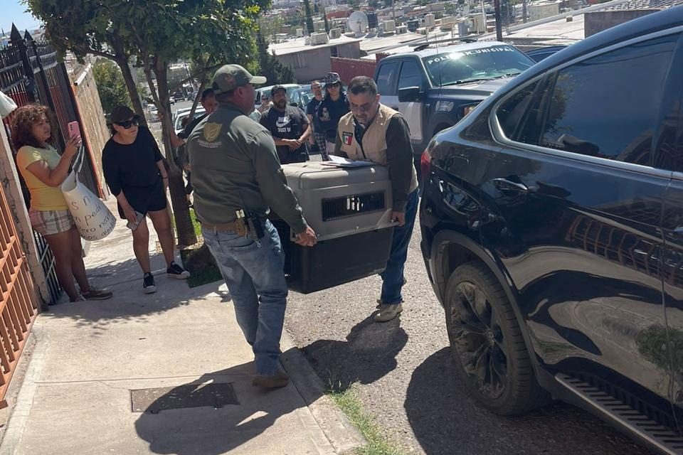 Atiende Guardianes Ecológicos denuncia de maltrato animal en la colonia Arboledas