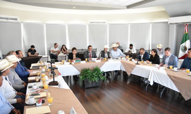 Suman 25 las Comisiones de Dictamen Legislativo instaladas por los diputados locales