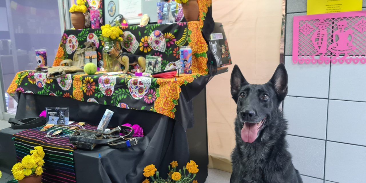 Con un altar reconoce grupo K-9 a cinco caninos fallecidos recientemente