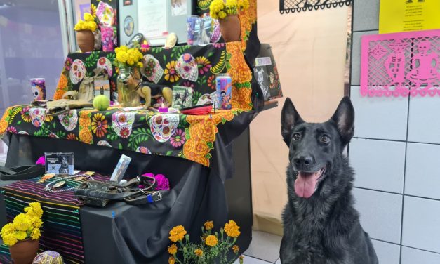 Con un altar reconoce grupo K-9 a cinco caninos fallecidos recientemente